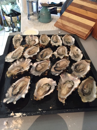 oysters 1